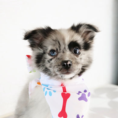 Lenny - Available Now