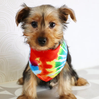 Barden - Available Now