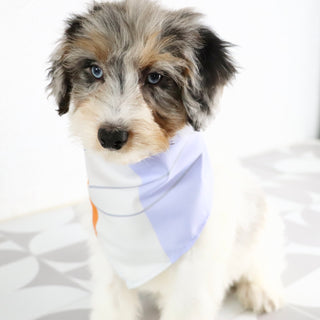Leo - Available Now