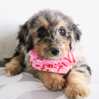 Barbie - Available Now