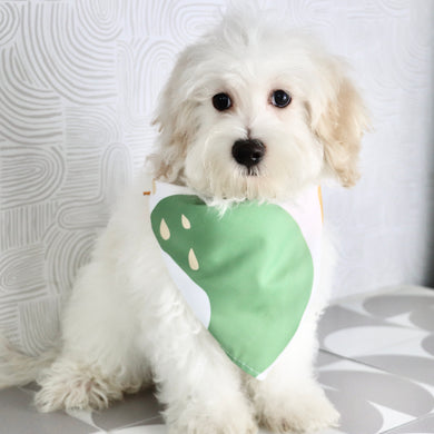 Louie - Available Now