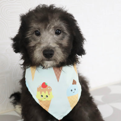 Why choose happytail puppies?