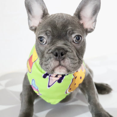 Milo - Available Now