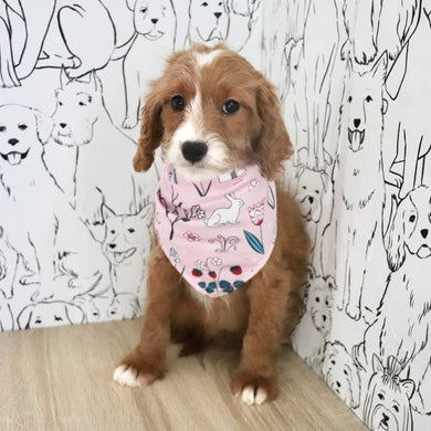 Aliya - Available Now