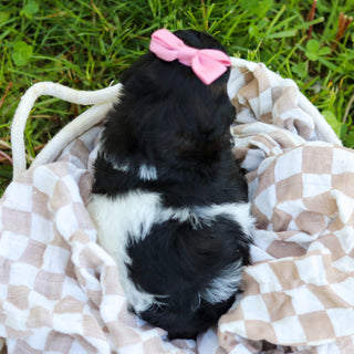 Fergie - Available 6/18