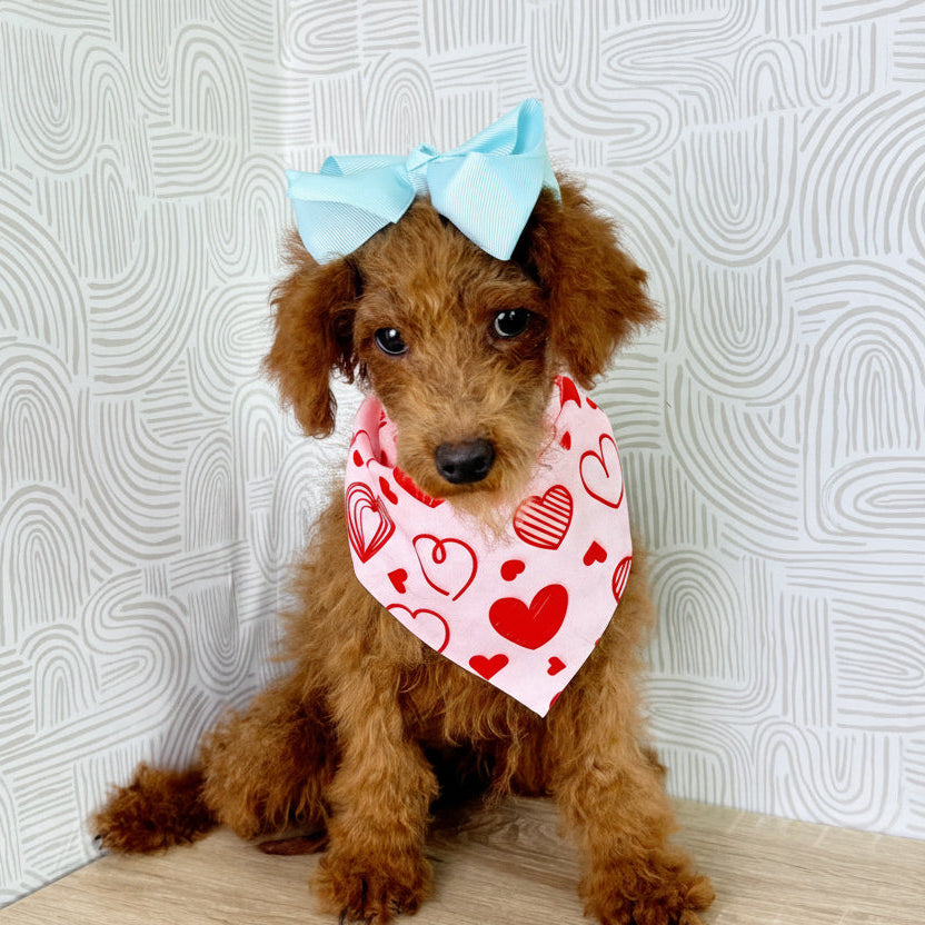 Beatrice - Available Now