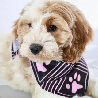 Mindy - Available Now