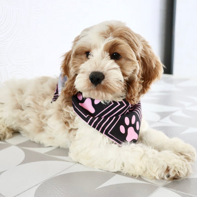 Mindy - Available Now