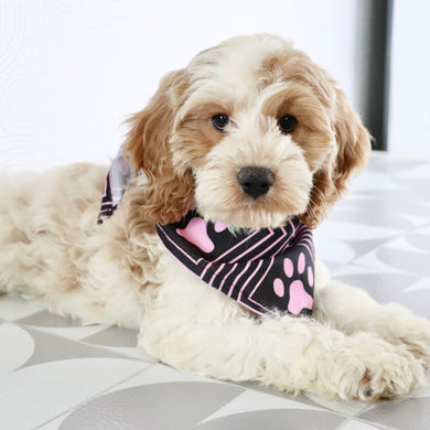 Mindy - Available Now