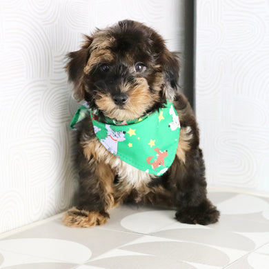 Mackie - Available Now
