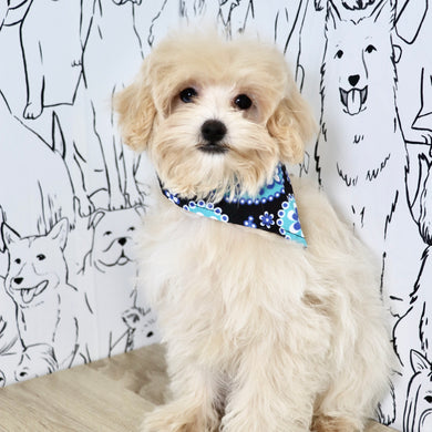 Link - Available Now