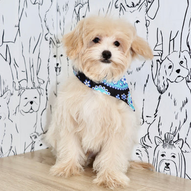 Link - Available Now