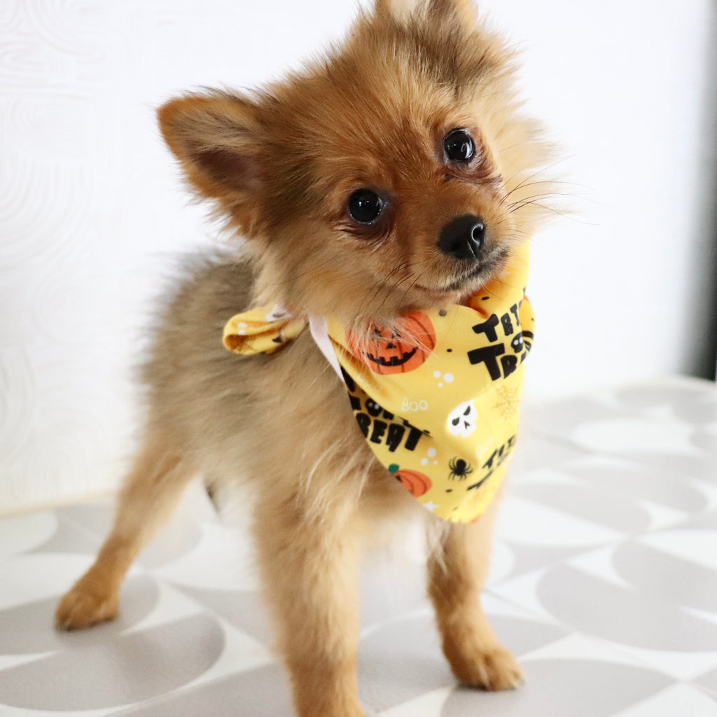 Matilda - Available now
