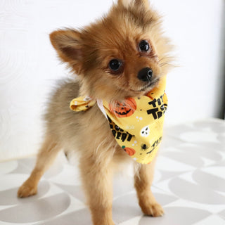 Matilda - Available now