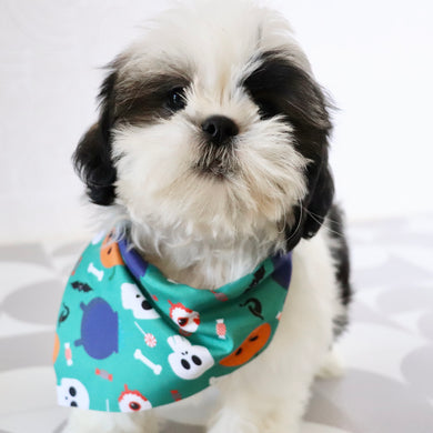Edwin - Available Now
