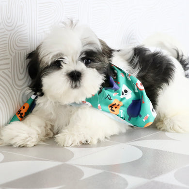 Edwin - Available Now