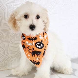 Tank - Available Now