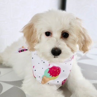 Loula - Available Now