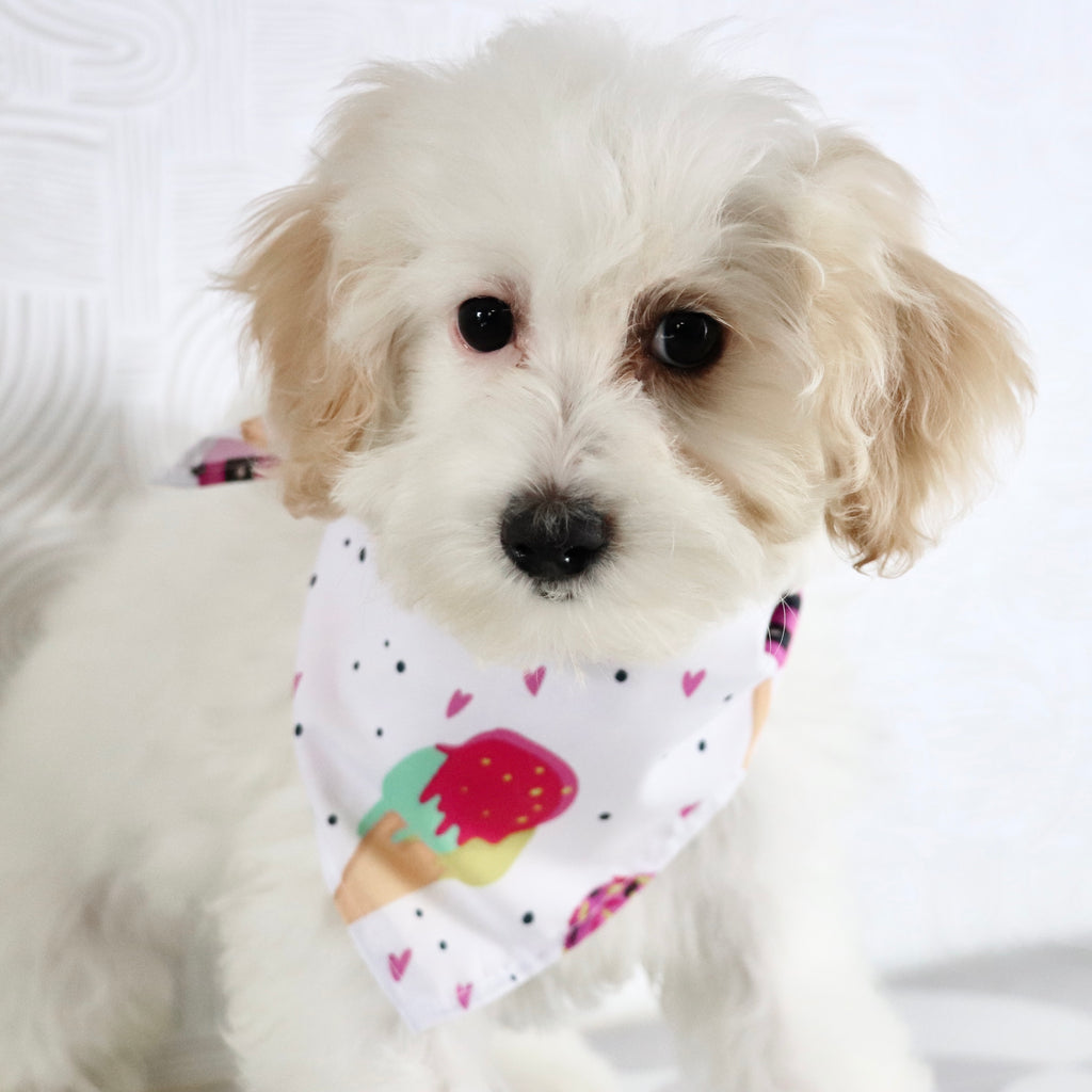 Loula - Available Now