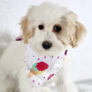 Loula - Available Now