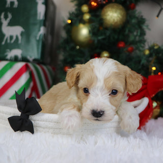 Jim - Available 1/21