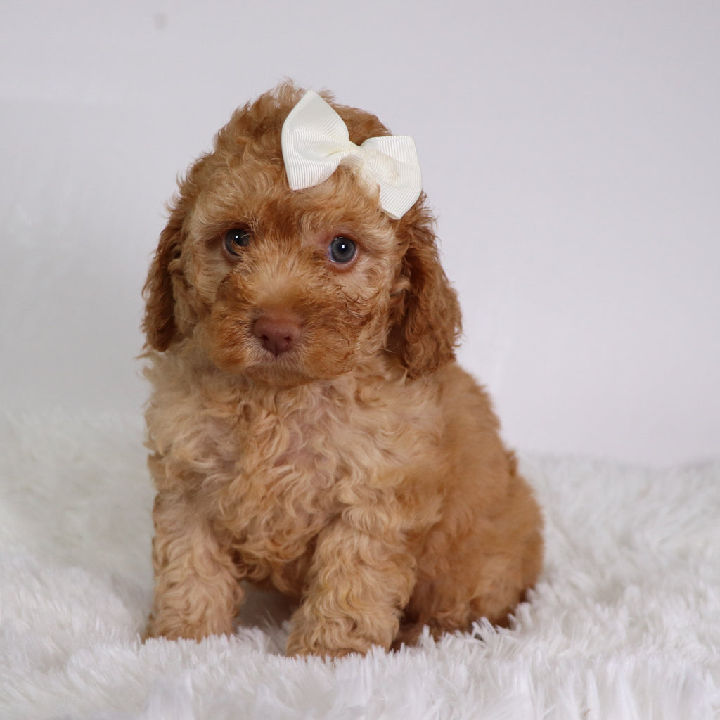 Jody - Available 10/22
