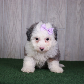 Kristen - Available 5/14