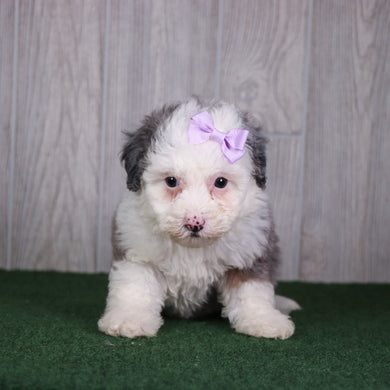Kristen - Available 5/14