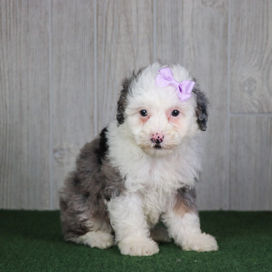 Kristen - Available 5/14