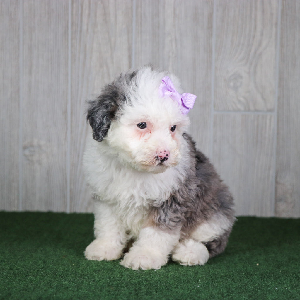 Kristen - Available 5/14
