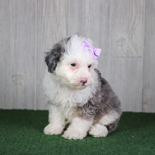Kristen - Available 5/14