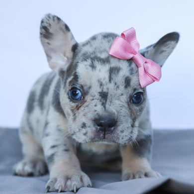 Leah - Available 9/10