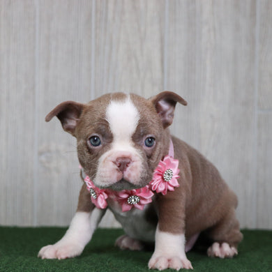 Linda - Available 5/14