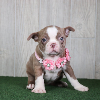 Linda - Available 5/14
