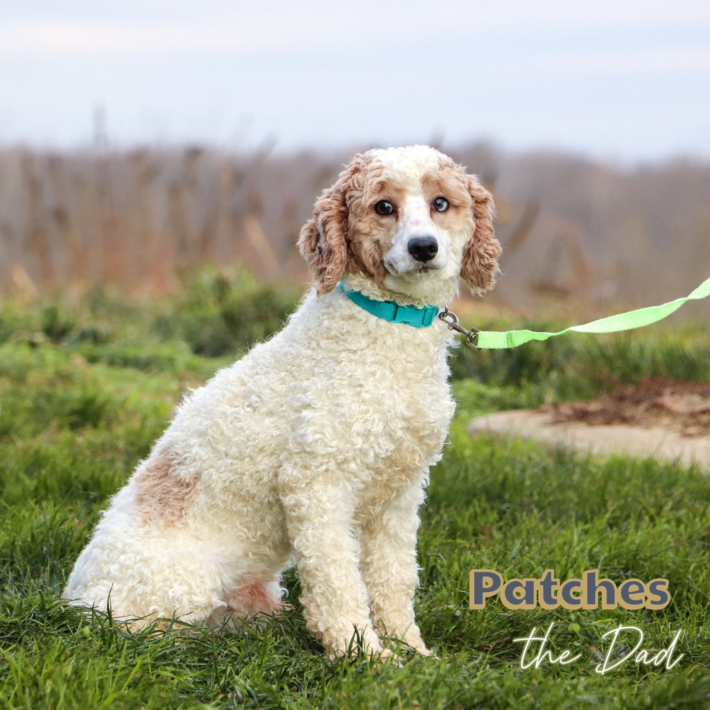 Sanford - Available 1/14