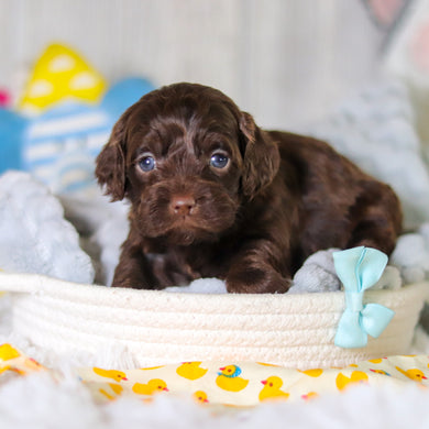 Miles - Available 5/14