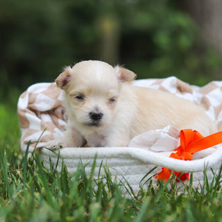 Kevin - Available 8/13