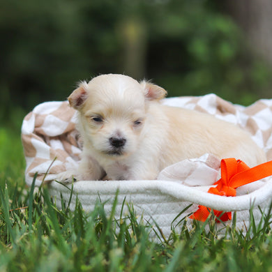 Kevin - Available 8/13