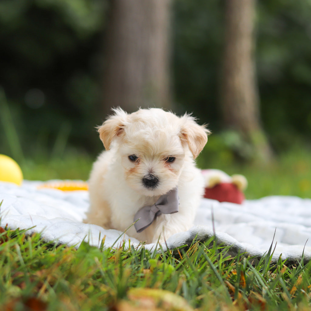 Kevin - Available 8/13