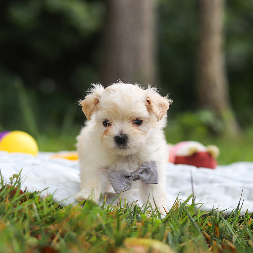 Kevin - Available 8/13