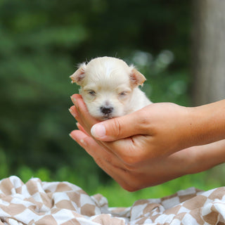 Kevin - Available 8/13