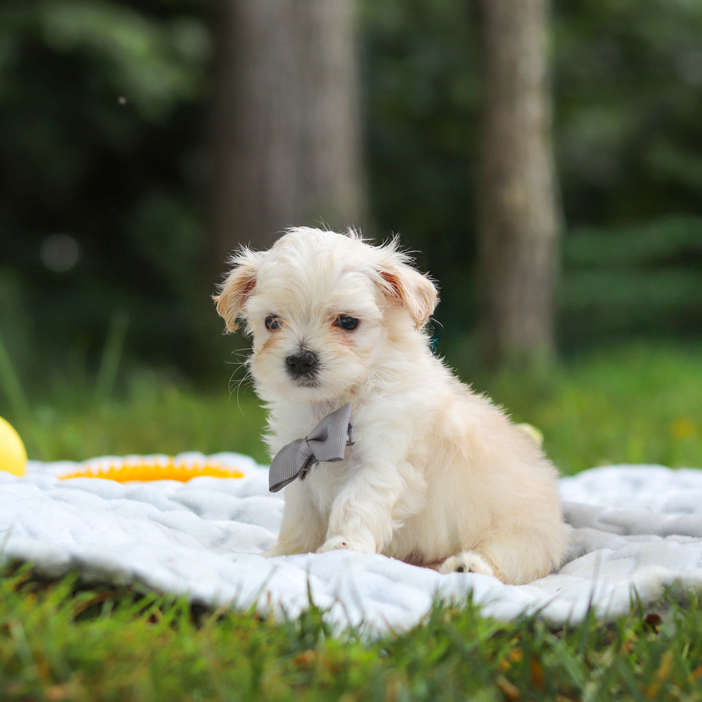 Kevin - Available 8/13