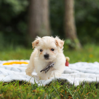 Kevin - Available 8/13