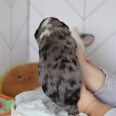 Spike - Available 5/28