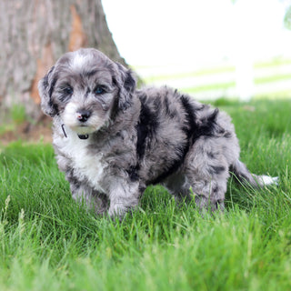Spike - Available 5/28