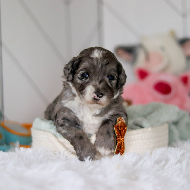 Spike - Available 5/28