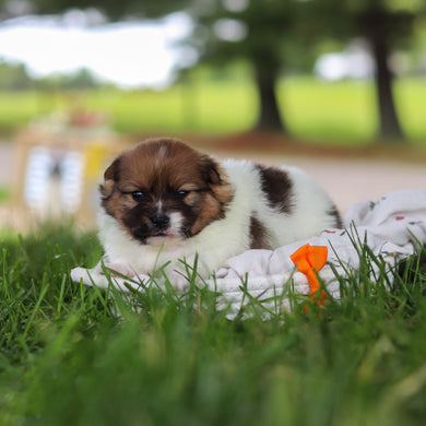 Andy - Available 7/9