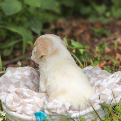 Darwin - Available 6/11