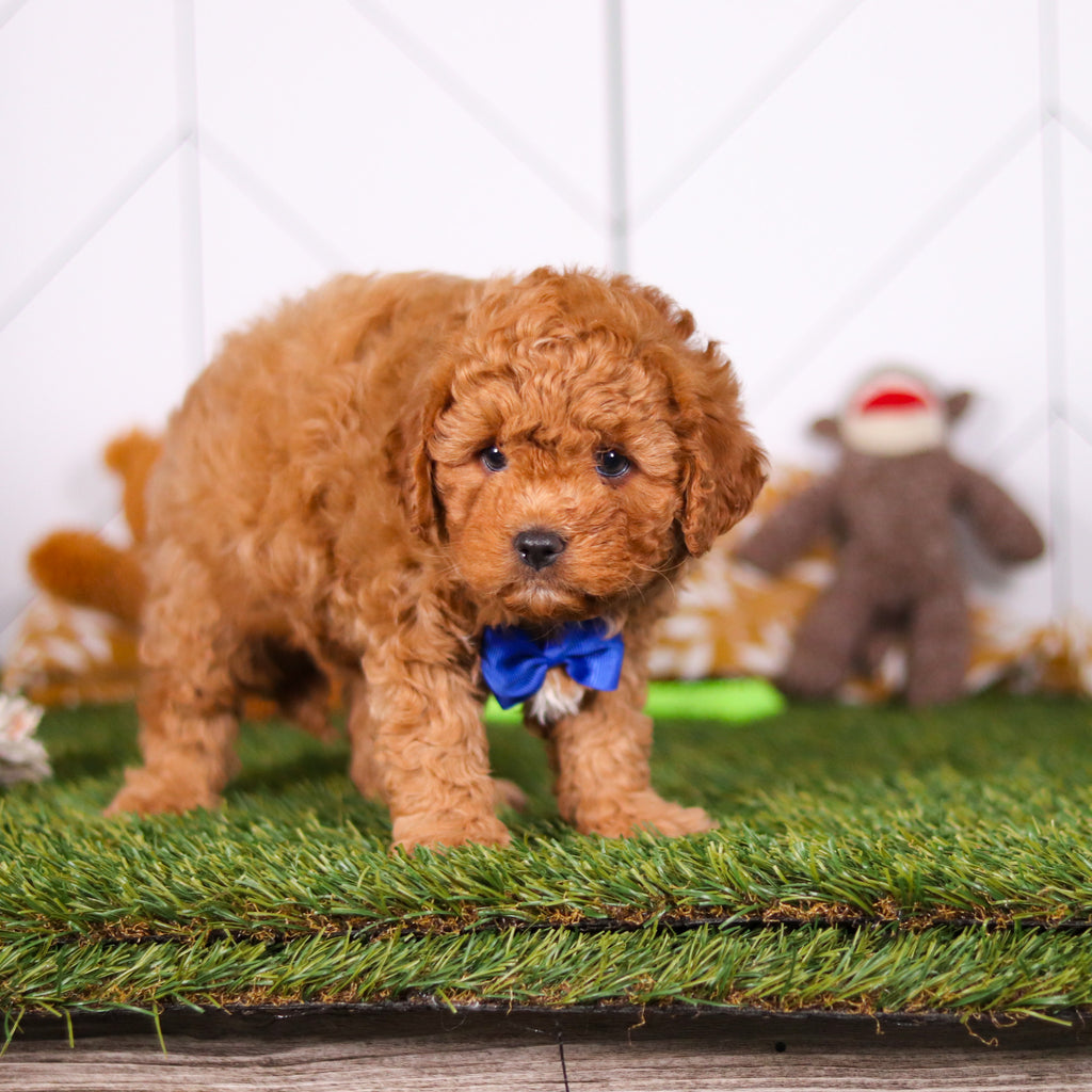 Mills - Available Now