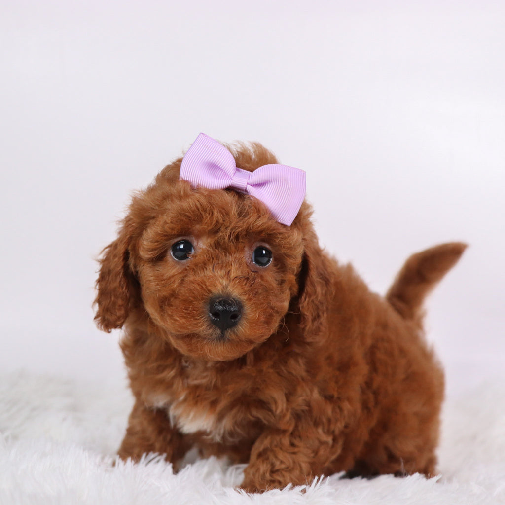 Marsha - Available 10/7